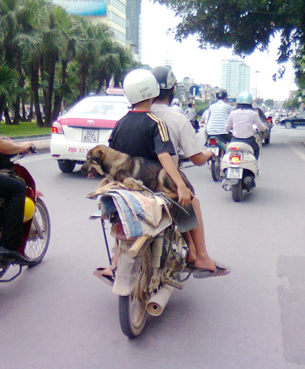 Chiếc xe máy không còn nhận ra là của hãng nào vẫn được lưu hành trên đường phố Hà Nội